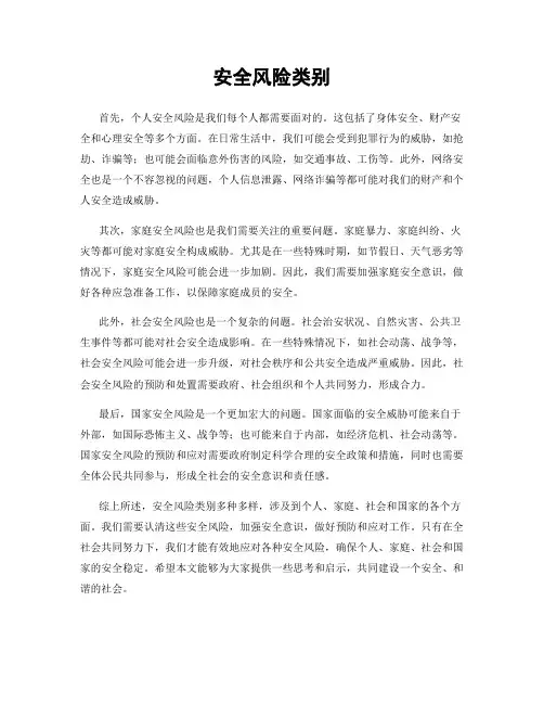 安全风险类别