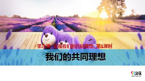课件3：我们的共同理想