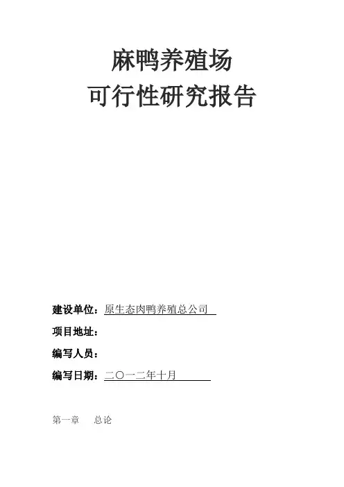 麻鸭养殖项目可行性研究报告