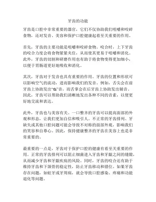 牙齿的功能