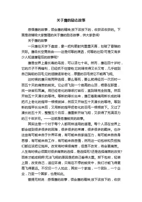 关于鹰的励志故事