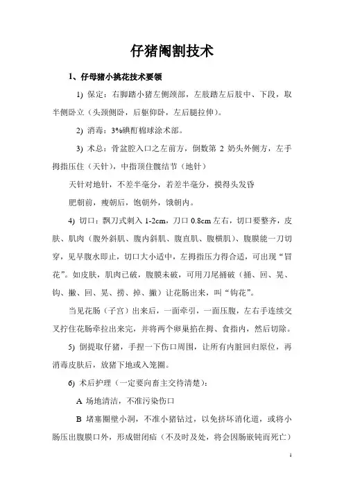 仔猪阉割技术
