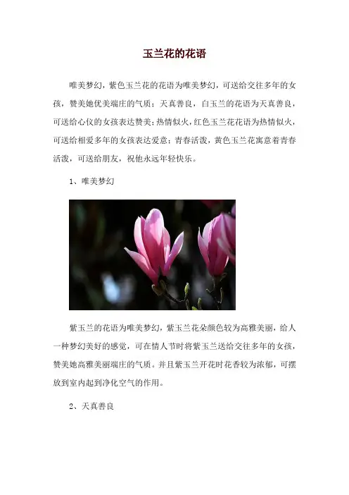玉兰花的花语