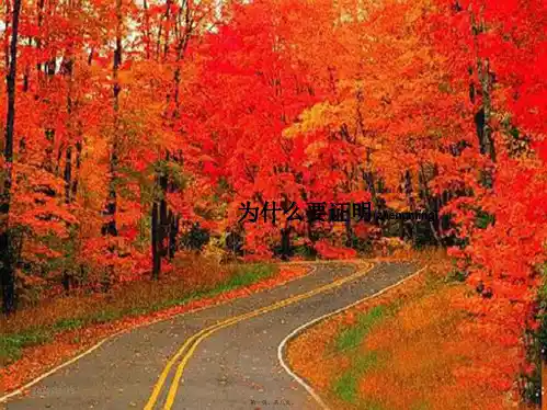 八年级数学上册第5章几何证明初步5.2为什么要证明
