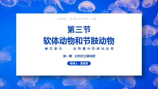 初中生物人教版八年级上册第五单元《软体动物和节肢动物》教育教学课件