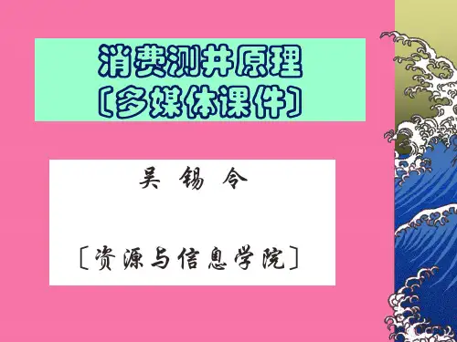 测井解释与生产测井ppt课件