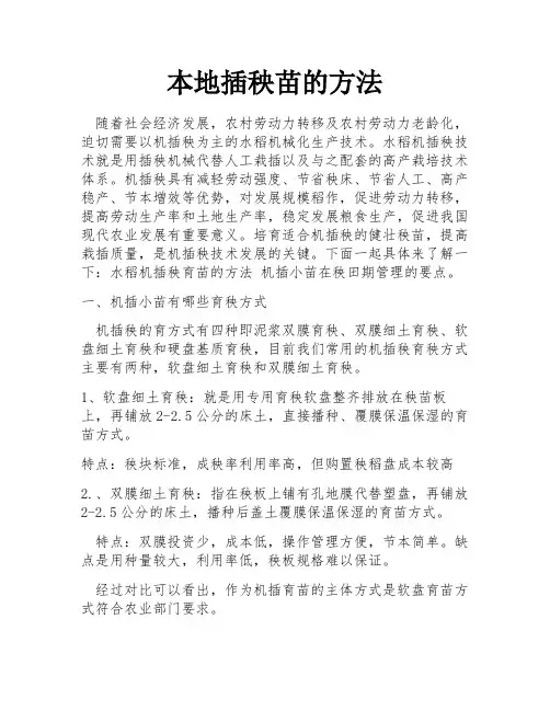 本地插秧苗的方法