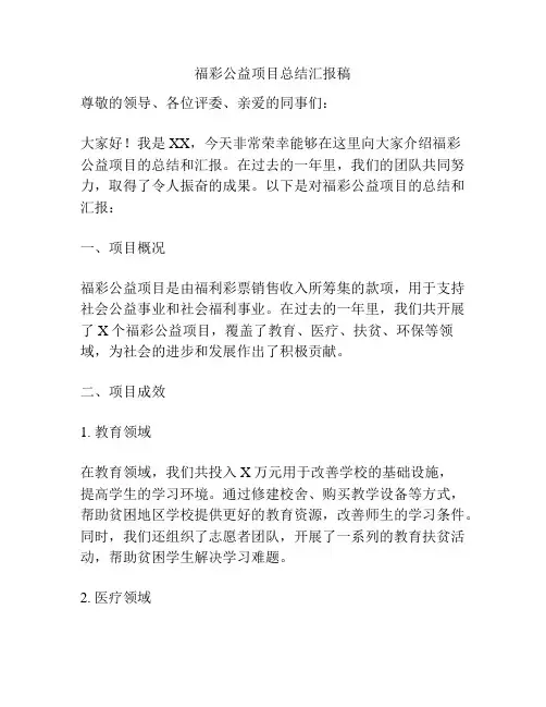 福彩公益项目总结汇报稿