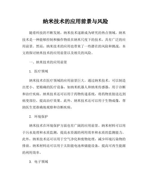 纳米技术的应用前景与风险
