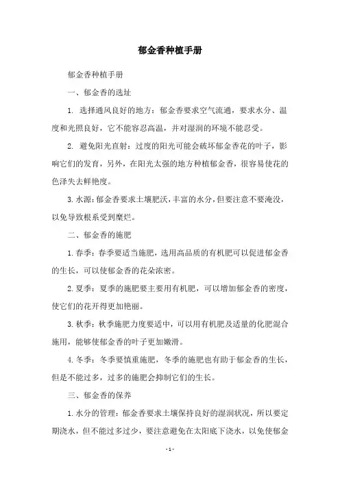郁金香种植手册