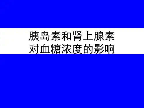 2. 胰岛素、肾上腺素对血糖含量的影响