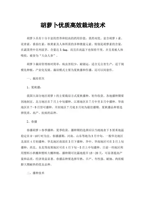 胡萝卜优质高效栽培技术