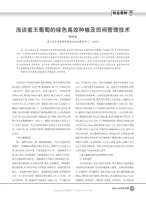 浅谈紫王葡萄的绿色高效种植及田间管理技术