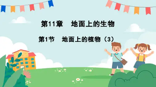 11.1地面上的植物(第3课时)七年级生物下册(苏科版)