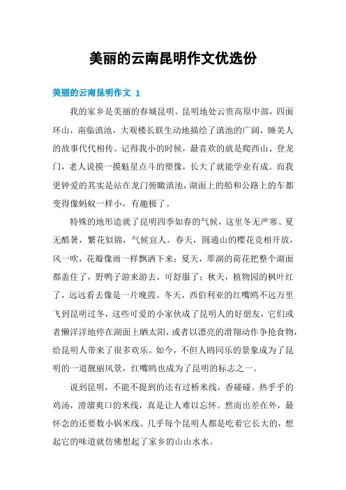 美丽的云南昆明作文优选份