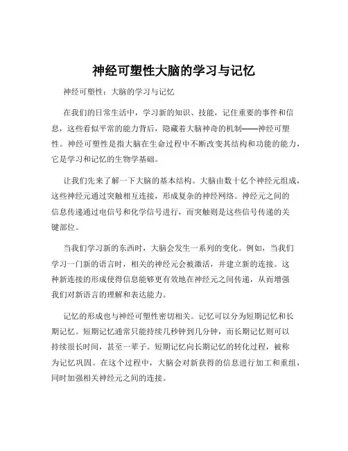 神经可塑性大脑的学习与记忆