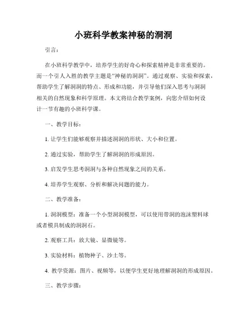 小班科学教案神秘的洞洞