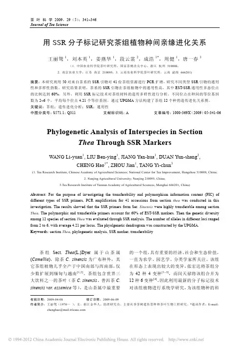 用SSR分子标记研究茶组植物种间亲缘进化关系