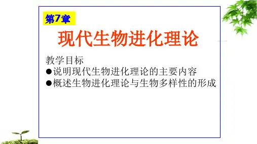 现代生物进化理论课件(17张PPT)