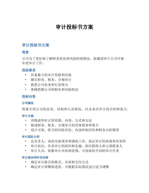 审计投标书方案