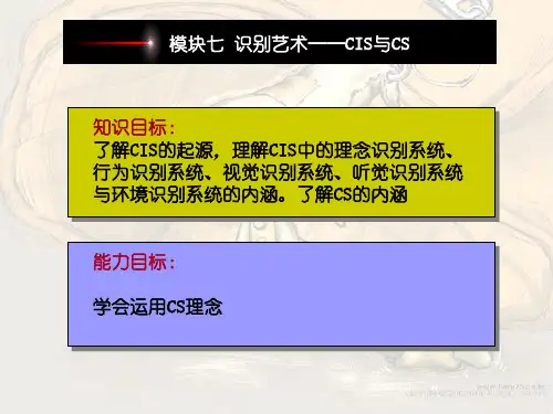 CIS与CS区别