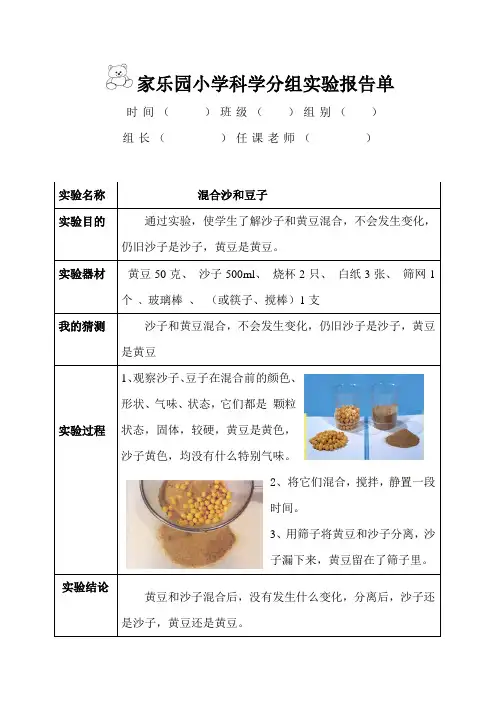 教科版六年级下册《物质发生了什么变化》优秀实验报告单(含答案)