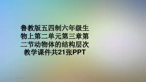 鲁教版五四制六年级生物上第二单元第三章第二节动物体的结构层次教学课件共21张PPT