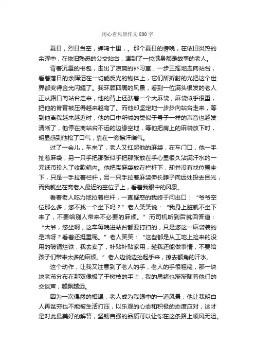 用心看风景作文800字_高二写景作文_