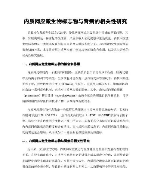 内质网应激生物标志物与肾病的相关性研究