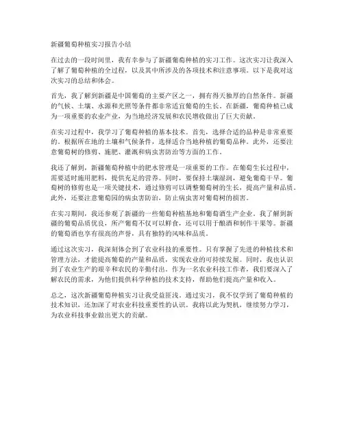 新疆葡萄种植实习报告小结