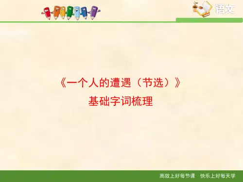 苏教版高中语文必修二 第2专题 《一个人的遭遇(节选)》基础字词梳理