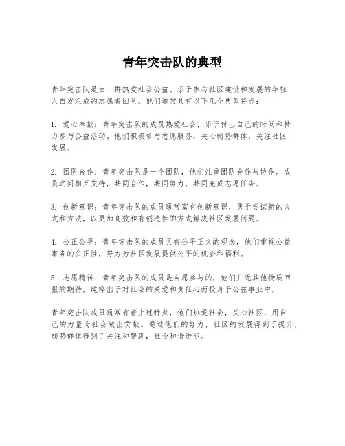 青年突击队的典型