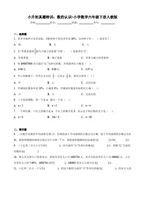 小升初真题特训：数的认识-小学数学六年级下册人教版(有答案  有解析)