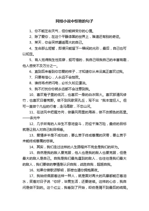网络小说中惊艳的句子