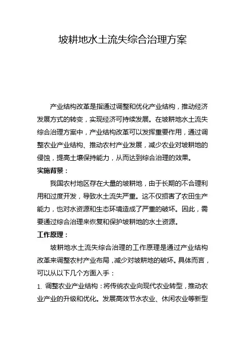 坡耕地水土流失综合治理方案(二)