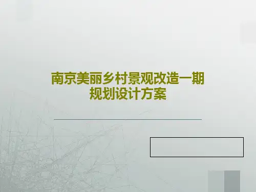 南京美丽乡村景观改造一期规划设计方案77页PPT