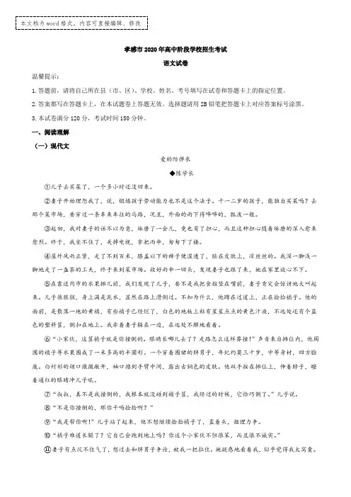 湖北省孝感市2020年中考语文试题(含答案和详细解析)word版
