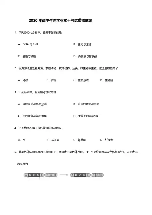 2020年高中生物学业水平考试模拟及答案