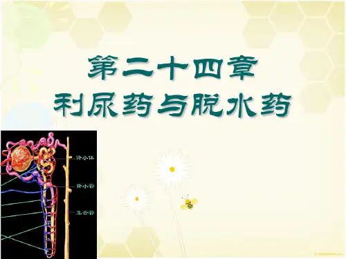 第二十四章 利尿药和脱水药PPT课件