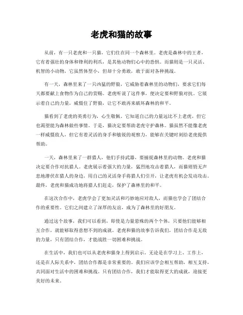 老虎和猫的故事