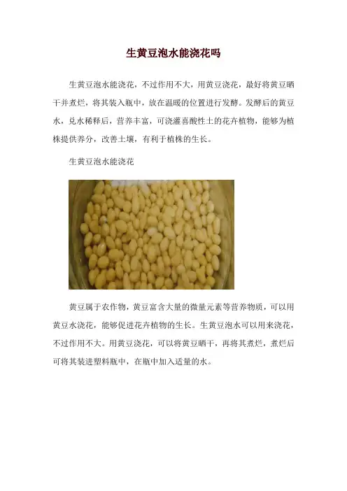 生黄豆泡水能浇花吗