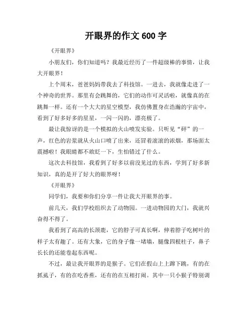 开眼界的作文600字