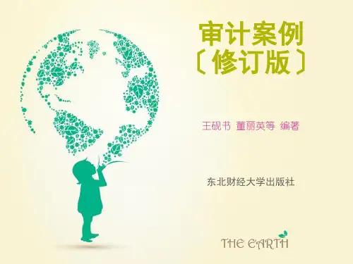 审计案例培训课件(ppt 99页)