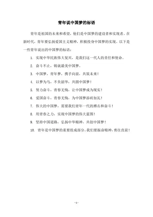 青年说中国梦的标语