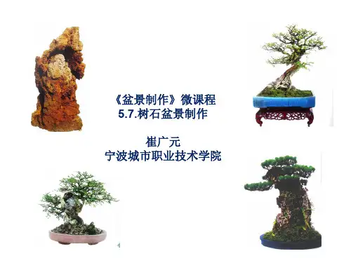 5.7.树石盆景制作