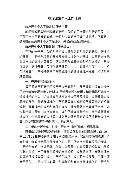 临床医生个人工作计划