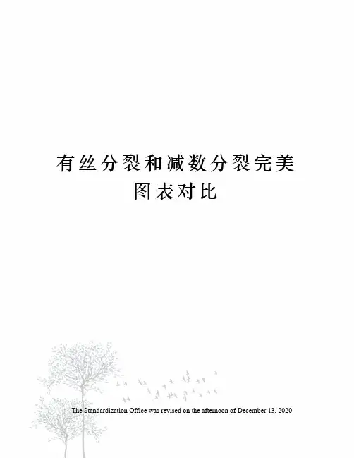 有丝分裂和减数分裂完美图表对比