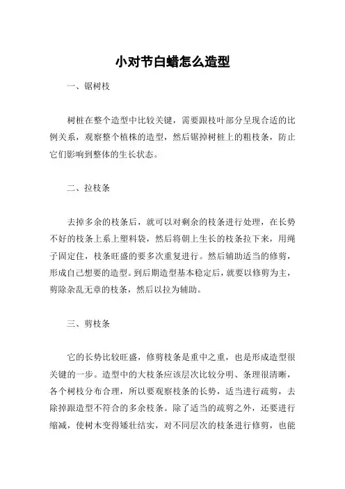 小对节白蜡怎么造型