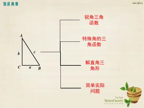 秋九年级数学上册第24章解直角三角形复习课件新版华东师大版