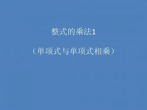 6.5.1整式的乘法1